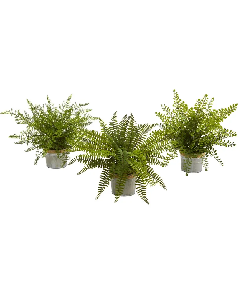 Nearly Natural 14'' Assorted Ferns with Planter Artificial Plant, Set of 3