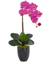 Nearly Natural Phalaenopsis Orchid Artificial Arrangement in Black Vase