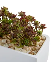 Nearly Natural 7.75"H Sedum Artificial Arrangement in Rectangular Planter