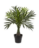 Nearly Natural 3-Pc. Areca, Fountain & Banana Palm Artificial Plant Set