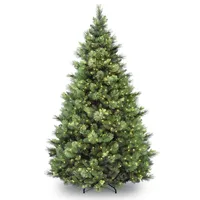 National Tree 7' Carolina Pine Hinged Tree with 700 Clear Lights