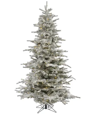Vickerman 6.5' Flocked Sierra Fir Artificial Christmas Tree with 550 Warm White Led Lights
