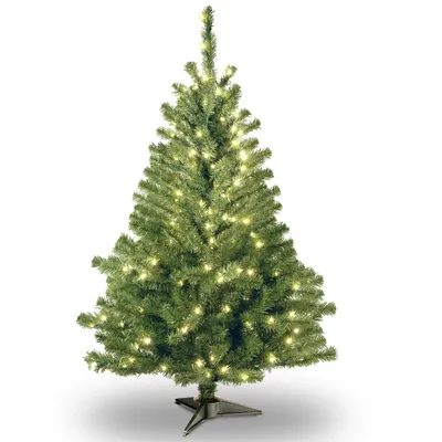 National Tree 4' Kincaid Spruce Tree w/100 Clear Lights