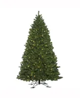 Vickerman 5.5 ft X 44 inch Oregon Fir Outdoor Ariticial Christmas Tree