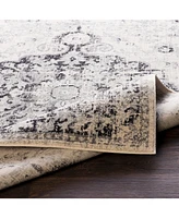 Livabliss Harput Hap-1061 Beige 2'7" x 7'3" Area Rug