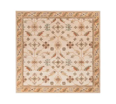 Livabliss Caesar Cae-1084 Khaki 4' Square Area Rug