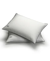 Pillow Guy White Goose Down Soft Density Pillow with 100% Certified Rds Down, and Removable Pillow Protector - Set of 2, Full/Queen