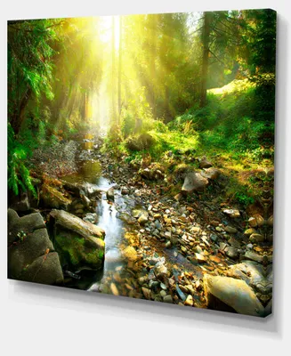 Designart Mountain Stream In Forest Landscape Photography Canvas Print - 20" X 12"