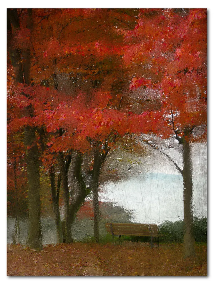 Courtside Market Maple Tree Walk Gallery-Wrapped Canvas Wall Art - 16" x 20"