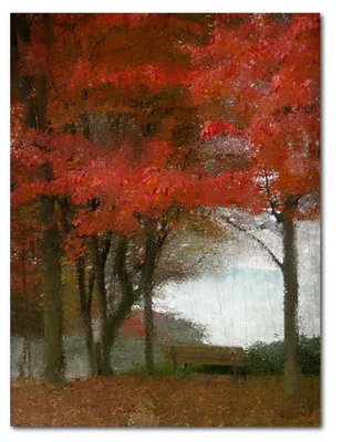 Courtside Market Maple Tree Walk Gallery-Wrapped Canvas Wall Art - 16" x 20"