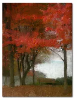 Courtside Market Maple Tree Walk Gallery-Wrapped Canvas Wall Art - 16" x 20"
