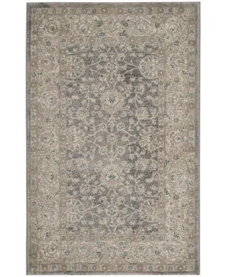 Safavieh Sofia SOF330 Light Gray and Beige 2'6" x 4' Area Rug