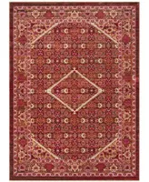 Safavieh Sutton SUT407 Rust 3' x 5' Area Rug