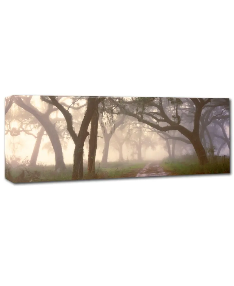 Doug Cavanah 'Dawns Early Light' Canvas Art - 19" x 6" x 2"