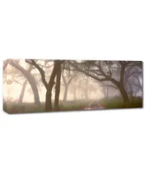 Doug Cavanah 'Dawns Early Light' Canvas Art - 19" x 6" x 2"