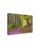 Cora Niele 'Wood Walk Painting' Canvas Art - 19" x 12" x 2"