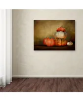 Jai Johnson 'Pumpkins Still Life' Canvas Art - 47" x 35" x 2"