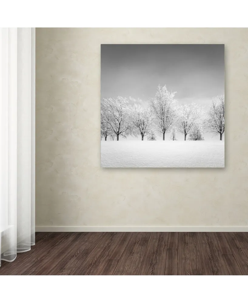 Dave MacVicar 'Ice Storm' Canvas Art - 24" x 24" x 2"