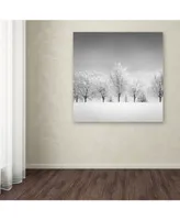Dave MacVicar 'Ice Storm' Canvas Art - 24" x 24" x 2"