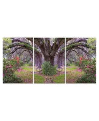 Chic Home Decor Lavender Cherry 3 Piece Wrapped Canvas Wall Art Garden