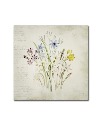 Marcee Duggar 'Wild Flowers Three' Canvas Art - 14" x 14" x 2"