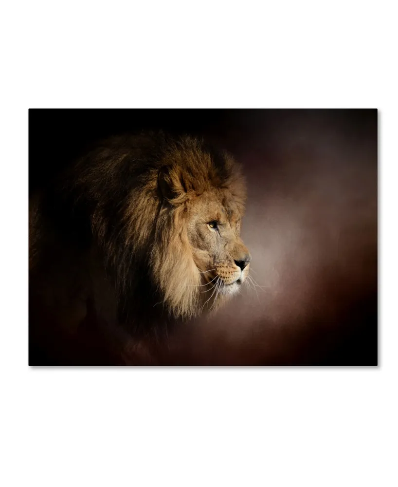 Jai Johnson 'The Mighty Lion' Canvas Art - 47" x 35" x 2"