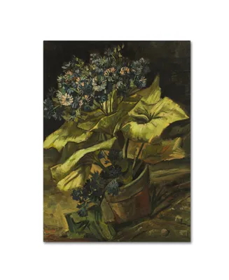 Van Gogh 'Cineraria' Canvas Art - 24" x 18" x 2"