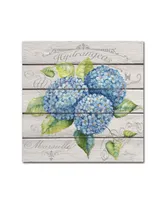 Jean Plout 'Blue Hydrangeas' Canvas Art - 14" x 14" x 2"