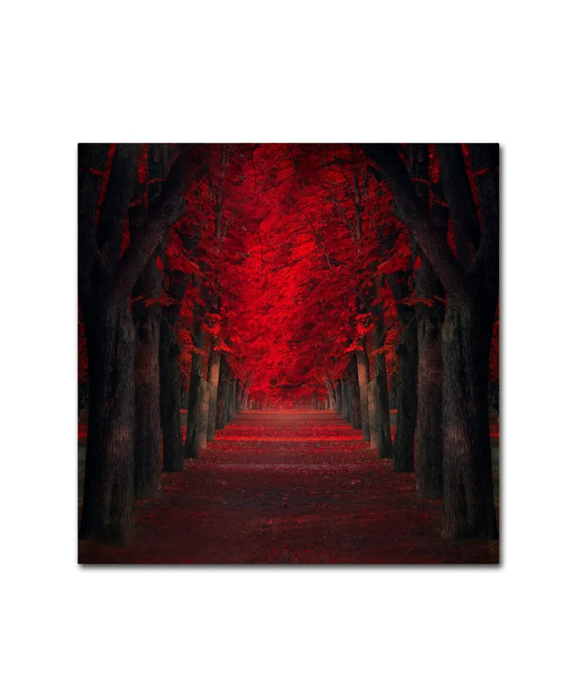 Ildiko Neer 'Endless Passion' Canvas Art - 35" x 35" x 2"