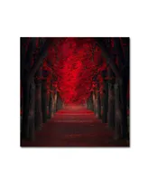 Ildiko Neer 'Endless Passion' Canvas Art - 35" x 35" x 2"