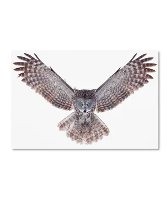 Jim Cumming 'Great Grey Owl' Canvas Art - 47" x 30" x 2"