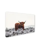 Jaap van den 'Highlander' Canvas Art - 47" x 30" x 2"