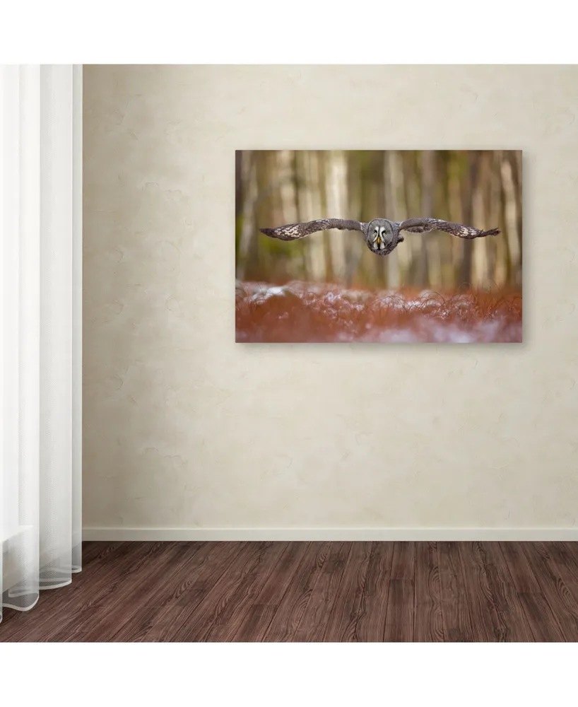 Milan Zygmunt 'Great Grey Owl' Canvas Art - 32" x 22" x 2"