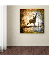 lightbox Journal 'High Country Deer' Canvas Art - 35" x 35" x 2"