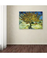 Vincent van Gogh 'The Mulberry Tree' Canvas Art - 47" x 35" x 2"