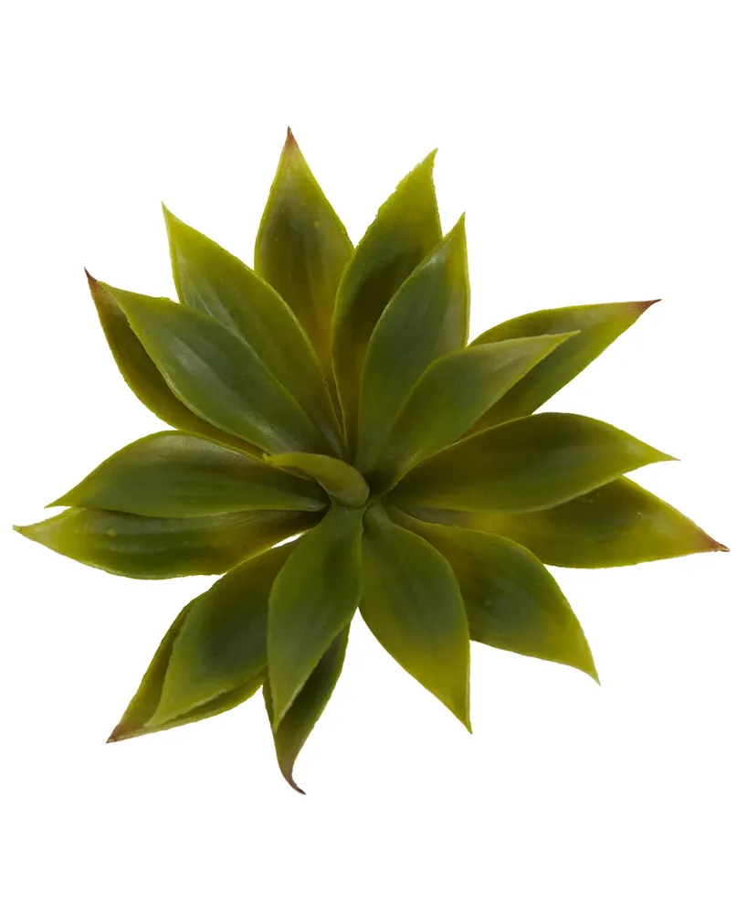 Nearly Natural Mini Agave Succulent Plant, Set of 12