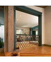 Evenflo Expansion Walk Thru Room Divider Baby Gate