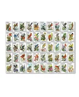 Vintage Apple Collection '50 Birds' Canvas Art - 14" x 19"