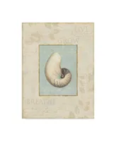 Lisa Audit 'Soothing Words Shells Ii' Canvas Art - 18" x 24"