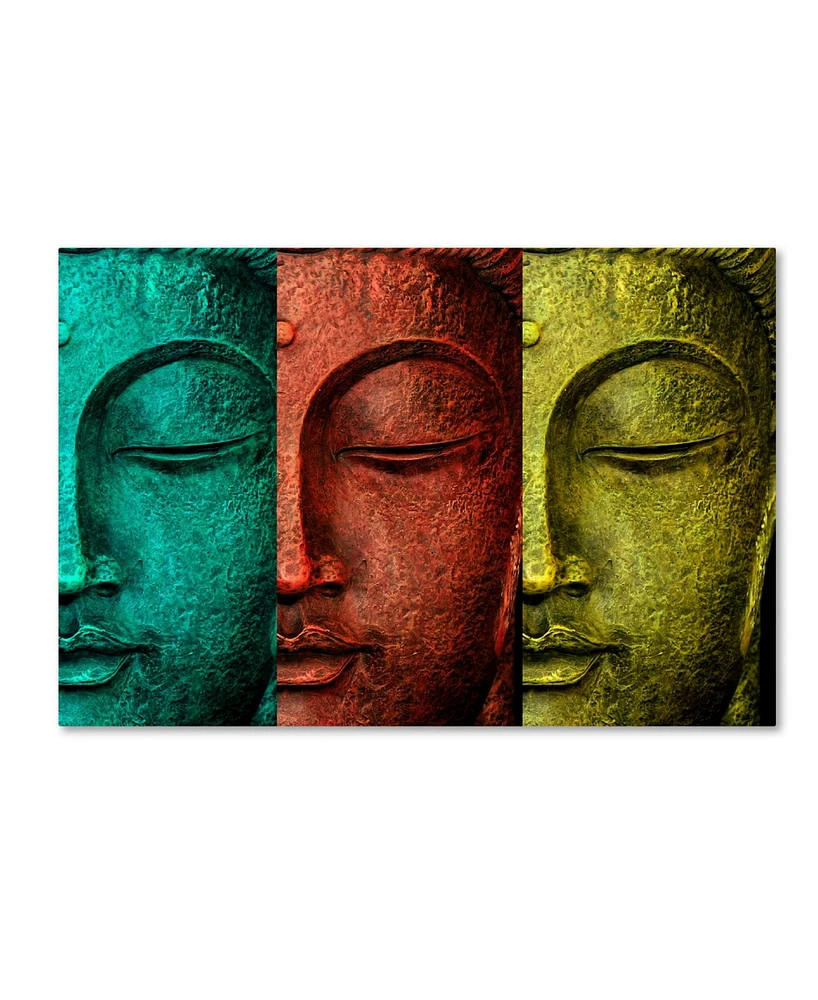 Mark Ashkenazi 'Buddha Face' Canvas Art - 30" x 47"