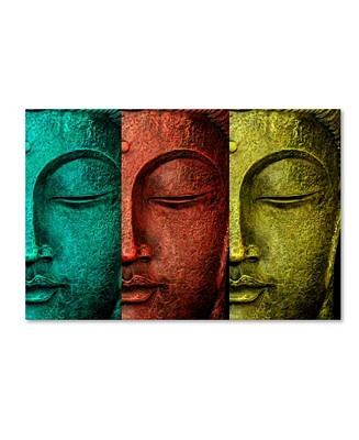 Mark Ashkenazi 'Buddha Face' Canvas Art - 30" x 47"