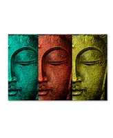 Mark Ashkenazi 'Buddha Face' Canvas Art - 30" x 47"