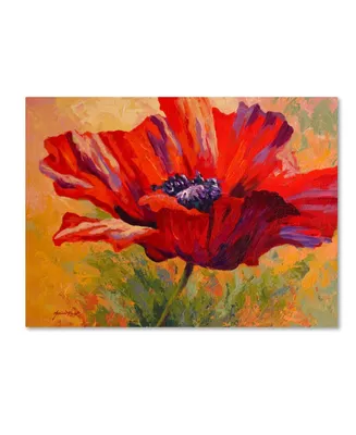 Marion Rose 'Red Poppy Ii' Canvas Art - 35" x 47"