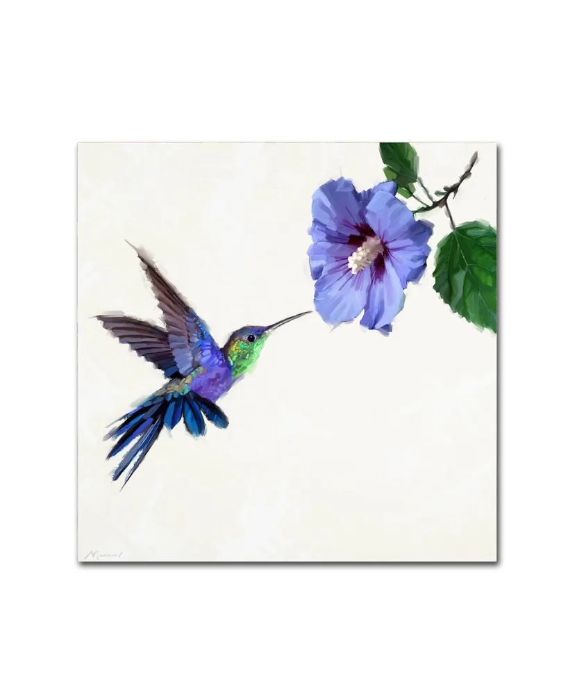 The Macneil Studio 'Humming Bird' Canvas Art - 35" x 35"