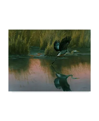 Wilhelm Goebel 'Evening Flight Great Blue Heron' Canvas Art - 24" x 32"