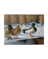 Wilhelm Goebel 'Winter Ducks' Canvas Art - 24" x 32"