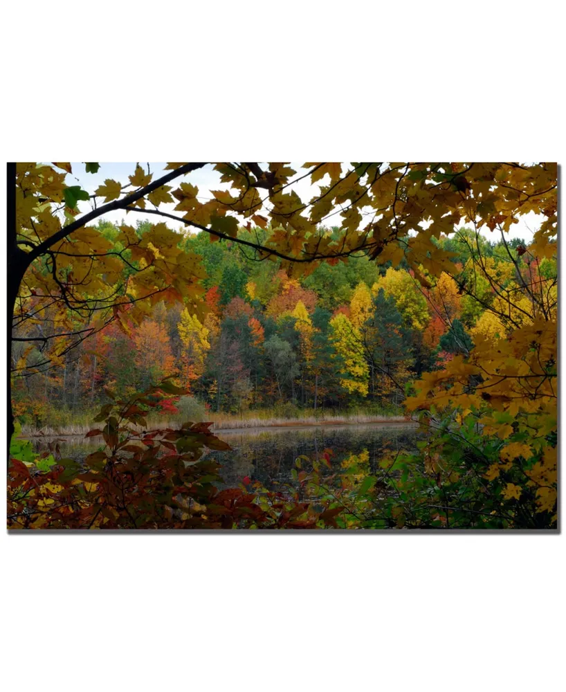 Kurt Shaffer 'Full Color Fall' Canvas Art - 24" x 16"