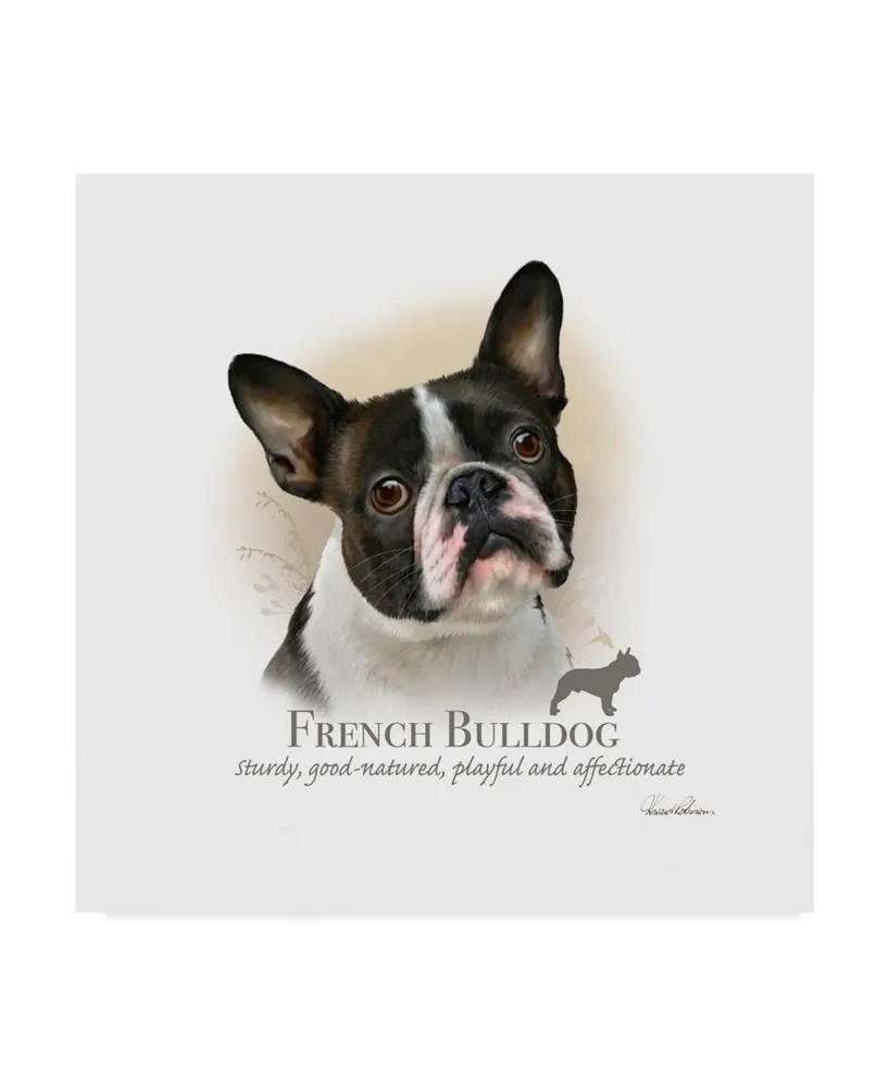 Howard Robinson 'French Bulldog' Canvas Art - 14" x 14"