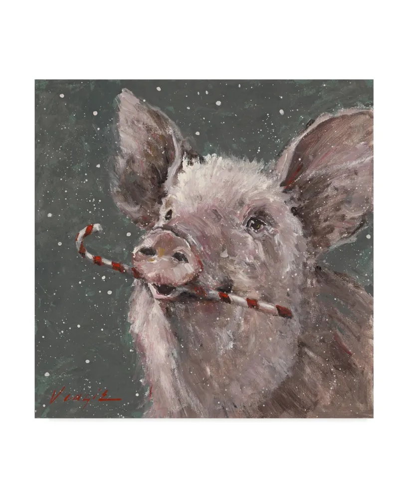 Mary Miller Veazie 'Teri The Christmas Pig' Canvas Art - 14" x 14"