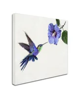 The Macneil Studio 'Humming Bird' Canvas Art - 35" x 35"